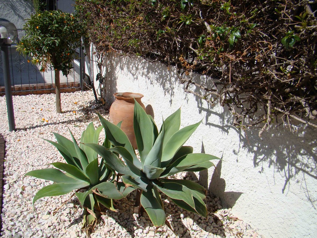 VILLA ANGELINA GIARDINI NAXOS